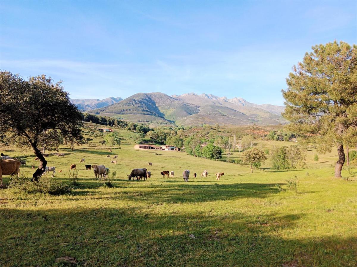 Casa Rural - Complejo El Tejar De Las Canadas Канделеда Екстер'єр фото